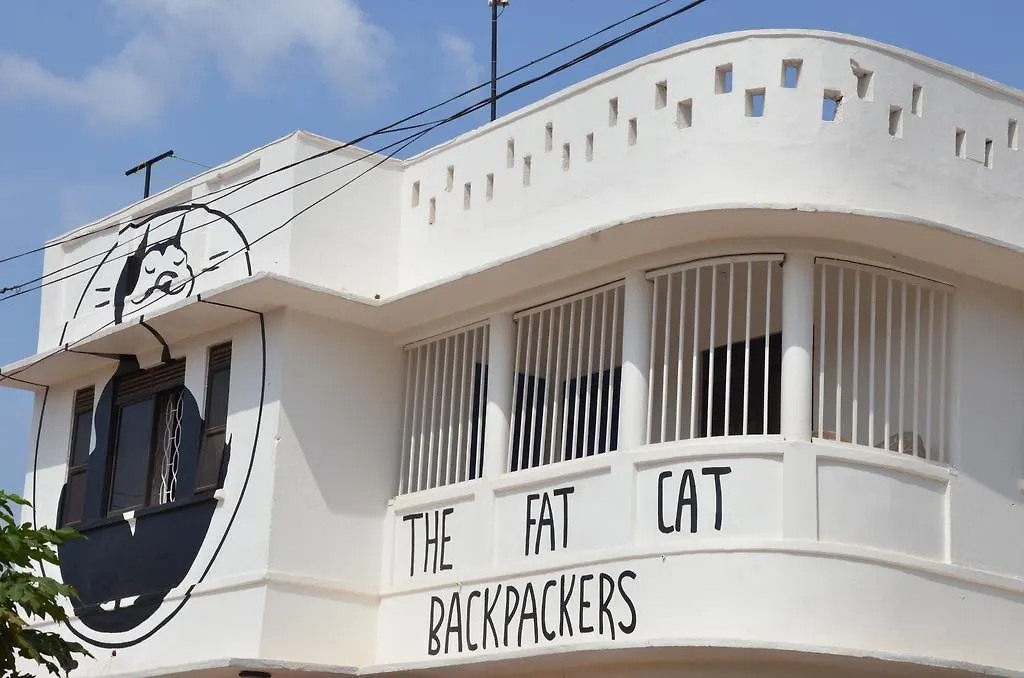 The Fat Cat Backpackers Hostel Kampala Uganda