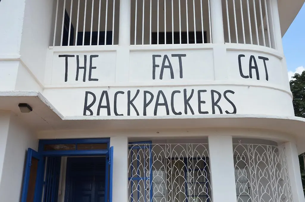 The Fat Cat Backpackers Hostel Kampala